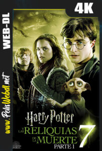 Harry Potter y las Reliquias de la Muerte – Parte 2 (2011) WEB-DL 4K DV HDR10 Latino-Inglés-Castellano